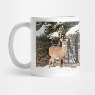 Deer in the snow woods Mug